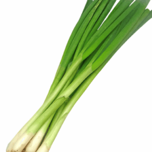 Cebolla china