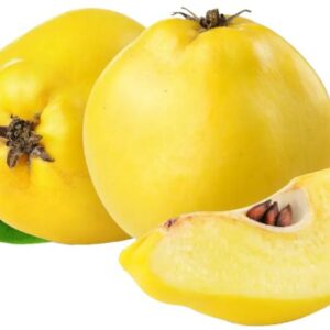 Membrillo