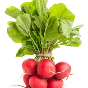 Rabanito