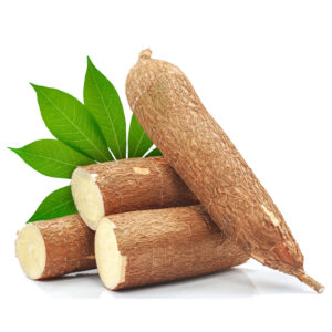 Yuca
