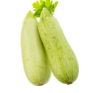 Zapallo italiano Zuchinni